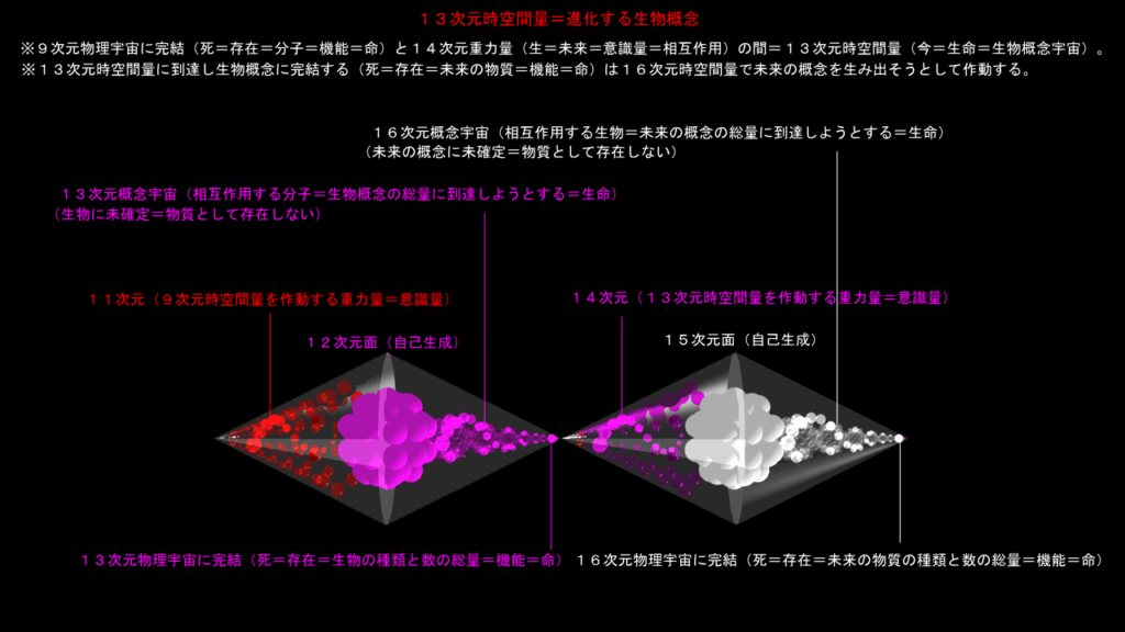 概念に在る生と死（その２）