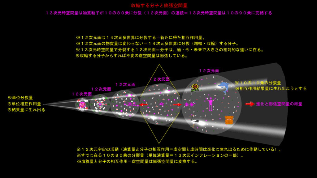 生物の膨張空間