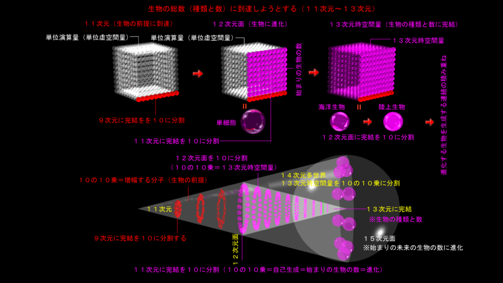 11次元・12次元・13次元
