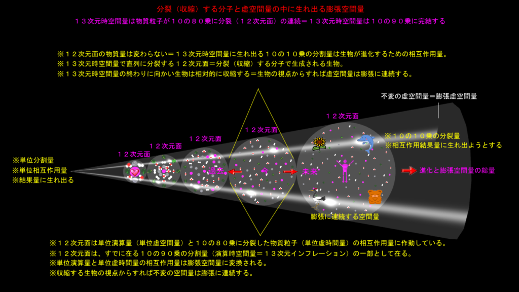 生物の膨張空間